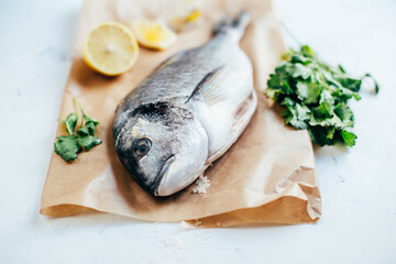 close-up of raw dorado fish on parchment against a background of parsley and sliced ​​lemon on a white background