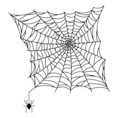 Spider web isolated on white background. Spooky cobwebs with spiders.