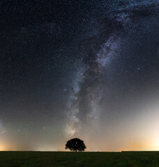 Milky Way with lonely tree on the hill. Landscape with night starry sky and lonely tree in the front.