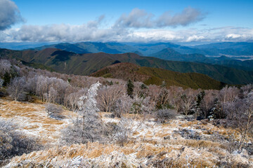 秋の雪の後の美ヶ原高原からの眺め　雪が積もった木の枝「雪持ち」と山並み（長野県）
