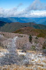 秋の雪の後の美ヶ原高原からの眺め　雪が積もった木の枝「雪持ち」と山並み（長野県）