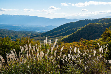 秋の蓼科の風景（長野県）