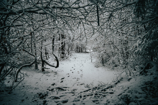 Snow Stepps 2