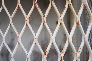 Fototapeta premium フェンス