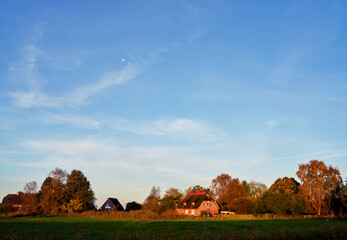 Obraz premium traditional brick house with reed roof in the district Wesermarsch (Germany) in morning sunlight under vivid blue sky with visible moon during autumn