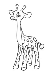 Long giraffe character animal africa illustration cartoon coloring