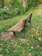 bench in a garden