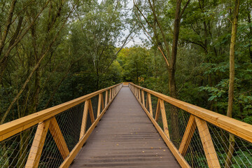Footbridge among trees over small Szklarka river
