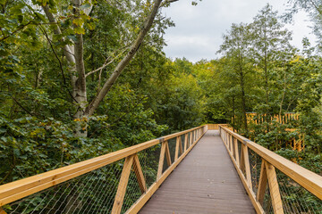 Obraz premium Footbridge among trees over small Szklarka river