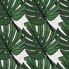 Monstera leaves with outline seamless pattern on white background.