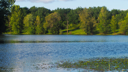 Rive d'un étang de pêche, à proximité de Toulouzette, dans la Chalosse.  L'Adour passe non loin de ce lieu