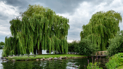 Seenlandschaft in Deutschland