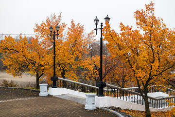 Side view of autumn cherry trees with yellow or orange color foliage in the public park of Khabarovsk (Russia)