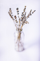 A bunch of dried lavender in a glass bottle isolated on a white background. Selective focus