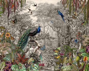 behang jungle en tropisch bos banaan palm en tropische vogels pauw vogels oud tekening vintage
