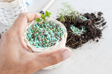 hand holding a Chemical fertilizers are in wooden baskets with plants placed on a white background....