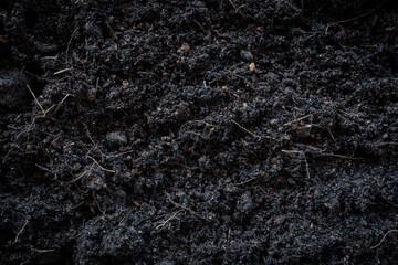 black earth background. natural soil texture. Pile heap of soil humus backdrop.
