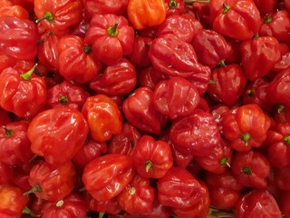 red bell peppers