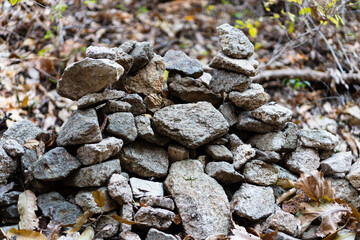 stones in the forest