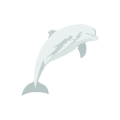 Flat Animal Sea Fish Dolphin Vector Design Illustration