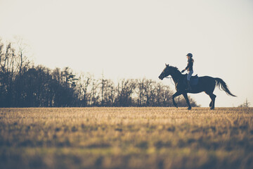 Female horse rider riding outdoors on her lovely horse