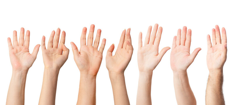 Group of people raised hands up as an approval, awerness or confirmation gesture