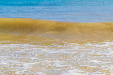 Fototapeta na wymiar Tropical mexican beach waves turquoise water Playa del Carmen Mexico.