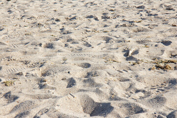 Sand texture. Sandy beach for background. Beach on a sunny day