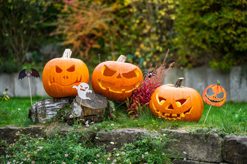 halloween pumpkin