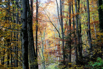 Herbst 2021