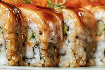 Sushi Rolls Set with Salmon and Cream Cheese and Cucumber on Plate macro Close Up.