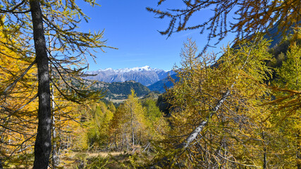 Paesaggio di alta montagna, in ottobre, con larici autunnali colorati di giallo e arancione,...