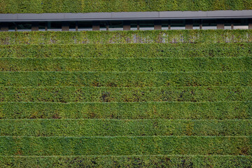 Close up detail of green sustainable facade with step of plant wall cover the building at Kö-Bogen...