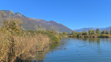 Obraz premium Laghetto in mezzo alla palude in ottobre, con cielo blu