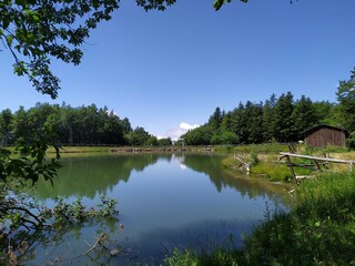 Fototapeta na wymiar San Gualberto lake on the Tuscan Apennines, clear sky without clouds and reflections in the lake
