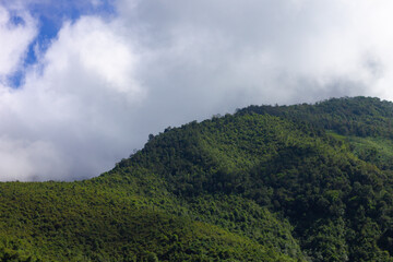 Top view mountain and green landscape from ban huai thone nan thailand.
