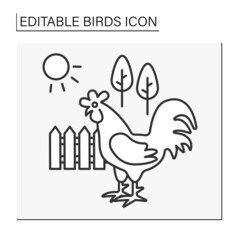  Rooster line icon. Domestic fowl symbolize new day and recreations. Birds concept. Isolated vector illustration. Editable stroke