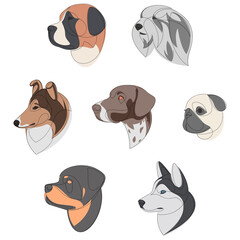 Breeds of dogs drawn in minimal style set. One line dog portrait set. St. Bernard, Old English Sheepdog, Rough Collie, German Shorthaired Pointer, Pug, Rottweiler, Siberian Husky. Vector illustration.