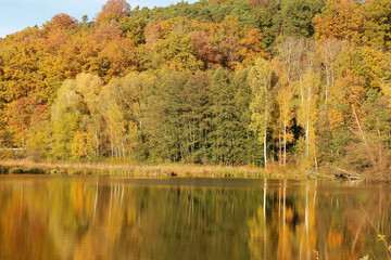 Herbstliche Landschaft