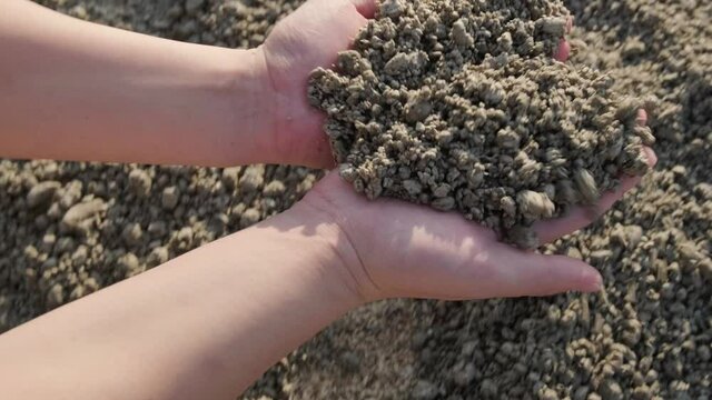 沖縄の海（備瀬ビーチ）に漂着した軽石を手で持つ