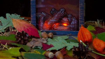 image of beautiful autumn dry leaves close-up