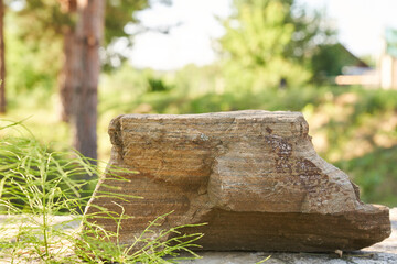 Fototapeta premium Stone on the background of green plants, the perfect podium for your product, natural background with textured pedestal. High quality photo