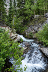 McCullough Gulch Trail Waterfall Trail near Breckenridge, Colorado, USA.