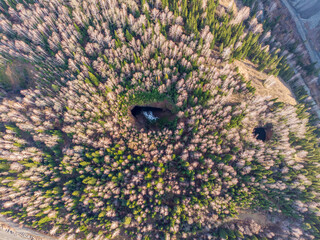 close up of a flower