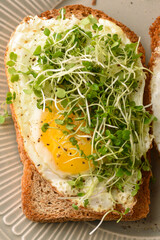 Fried egg sandwich with microgreens.