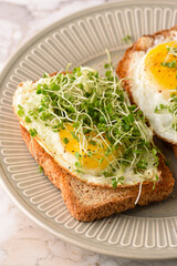 Fried egg sandwich with microgreens.