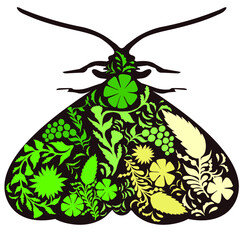 Moth silhouette with patterns and ornaments