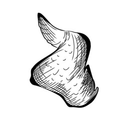 Сhicken wings on white. Meat old style art in retro style. Vector black line art illustration. 