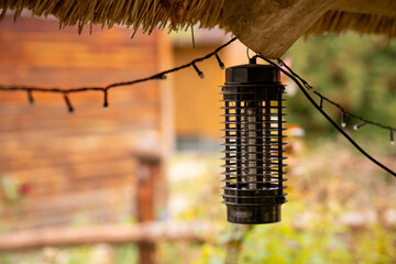trap insect exterminator lamp
