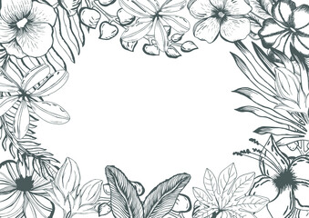 Tropical exotic beautiful plants flowers. frame poster. vector illustration
